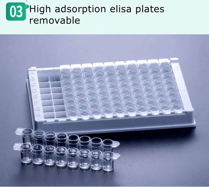 Elisa plate 13 Elisa plate 13
