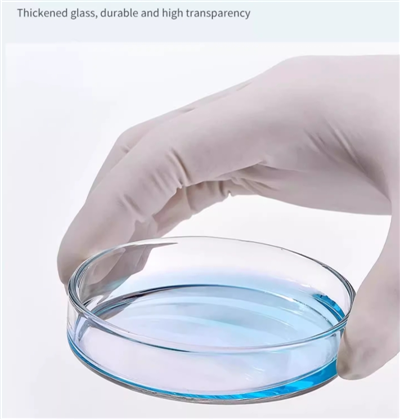 Harga Pembuatan Cawan Petri Kaca Plastik Medis Sekali Pakai Laboratorium 90Mm 90X15Mm Steril Dari Berbagai Jenis